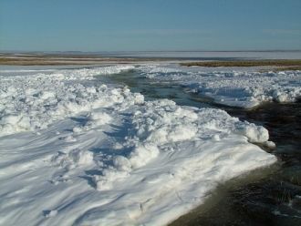Много болот разного происхождения. В гор