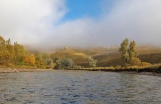 Реки образуют весьма густую гидрографиче