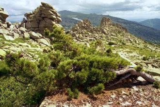 Тигирекский заповедник