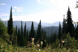 В заповеднике водится масса пернатых соз