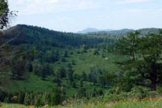 Учрежден в 1999 г. для сохранения и изуч