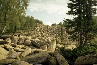 Особую ценность заповедника представляют