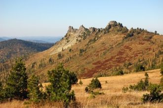 Фауну представляют бурый медведь, косуля
