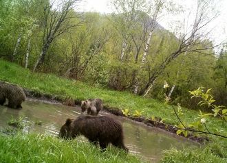 В летнее время относительная влажность в