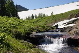 В восточной части, в пределах лесного по
