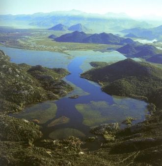 В Скадарском озере можно купаться. Однак