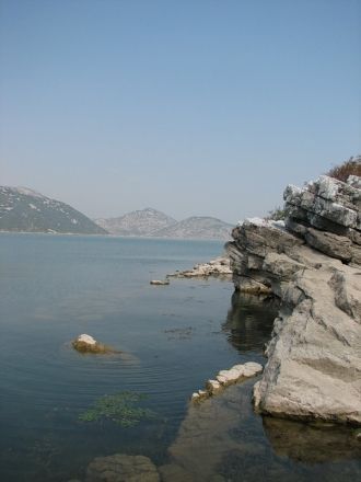 Прибрежная территория Скадарского озера 