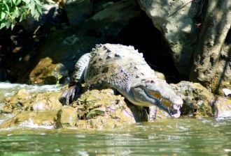 Животный мир парка, поражает многообрази