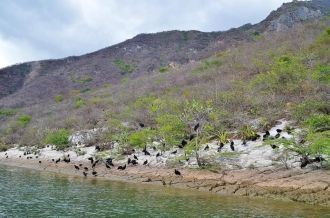 Скалы по берегу реки имеют вертикальный 