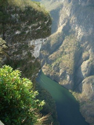 Река на дне каньона кишит крокодилами, п