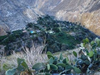 На сегодняшний день в Андах по-прежнему 