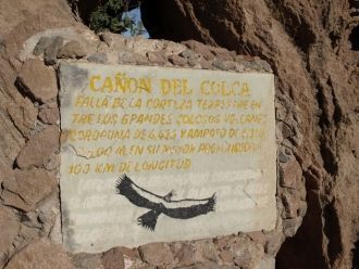 Вдоль каньона расположились и 14 деревуш