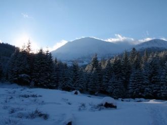 Природа на горе Петрос субальпийского пр