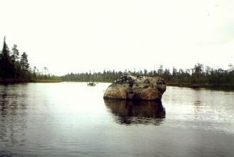 В озере можно рыбачить, клюют щука, язь,