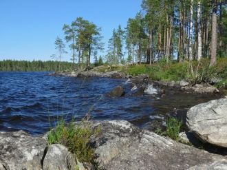 Длина береговой линии по материку более 