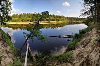 В экоцентре заповедника, который находит