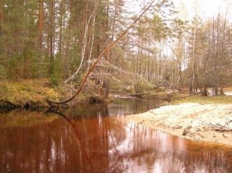 Керженский заповедник расположен на лево