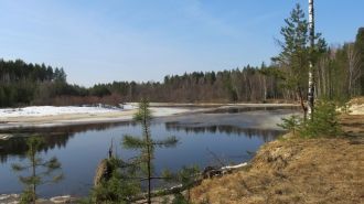 На территории заповедника создана зона о