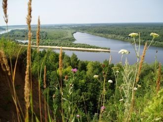 Керженский заповедник