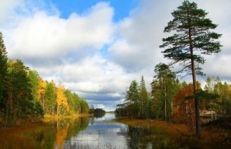 Костомукшский заповедник.