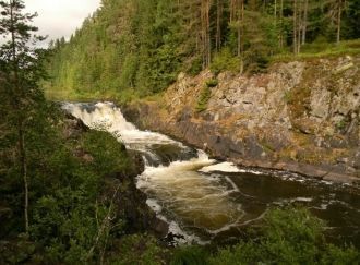 Русло реки Каменной, протекающей по терр