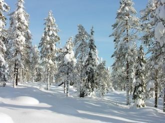 Зима в окрестностях Костомукши продолжит