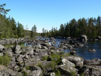 На территории заповедника находится боле