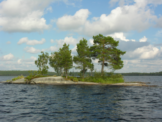 Леса в заповеднике представлены всеми во