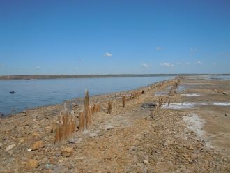 Единственными обитателями лимана являютс