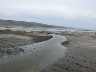 Лиман периодически окрашивается в розовы