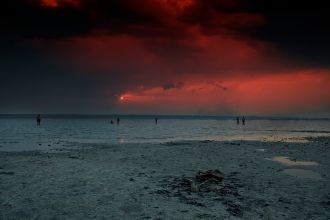 Лиман впадает река Большой Куяльник. Вбл