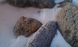 Рапа лимана также имеет лечебные свойств