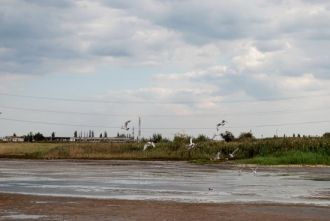 Но главная ценность Куяльника – в его уд