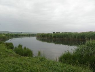 Река Молочная