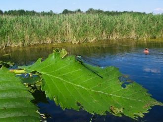 Широкая долина реки не соответствует ее 