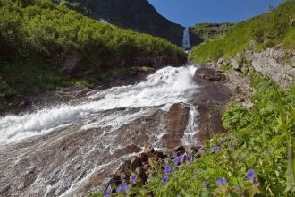 Можно встретить диких крупных животных —