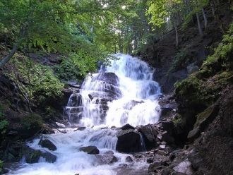 Чтобы увидеть Шипот, в Межгорье ежегодно