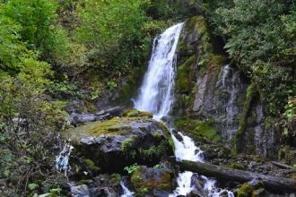 Птичья река довольно полноводна (вторая 