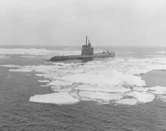 В период с декабря по апрель покрыт дрей