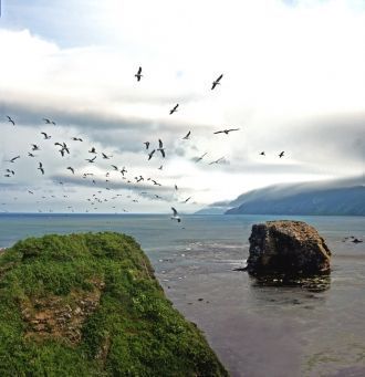Склоны гор покрыты горной елово-пихтовой