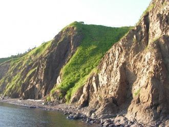 Лесные массивы всего заповедника созданы