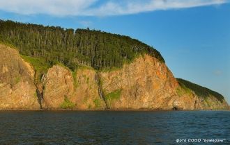Растительность на полуострове Терпения г