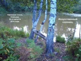 Искусственный солоник в Уфимском плато.