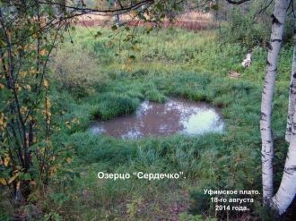 Отличительной особенностью долин являютс