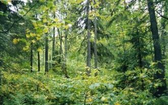 Абсолютные отметки высот здесь равны 380