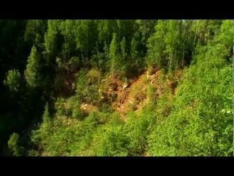 Они расчленены густой сетью глубоко врез