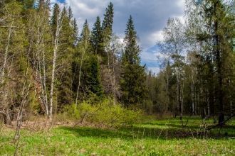 Уфимское плато является областью классич