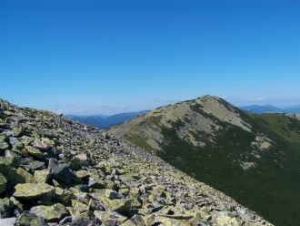 Малая Сивуля, или ее еще называют Лопушн