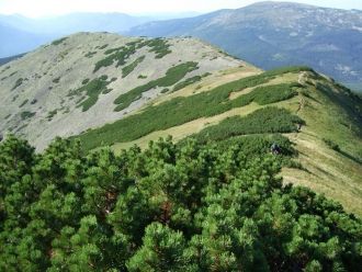 Попадая на одну из них, можно полностью 