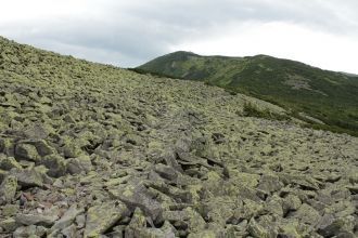 Пологий склон горы рассечен следами лави